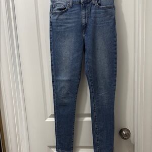 Joe's Jeans Women's Skinny Denim